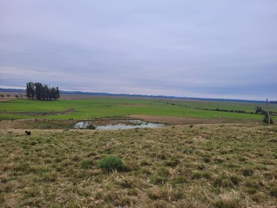 Fazenda - Foto 4