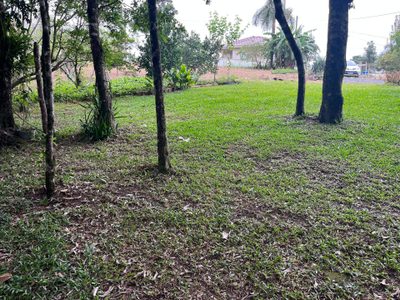Chácara, 2 quartos, 2500 m² - Foto 4