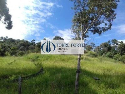 Terreno, 2 hectares - Foto 3