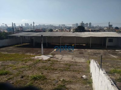 Terreno, 1272 m² - Foto 4