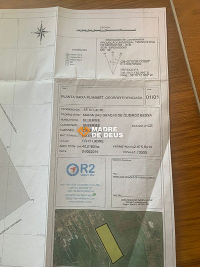 Terreno, 40 hectares - Foto 4