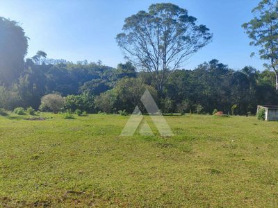 Chácara, 4 quartos, 3000 m² - Foto 1