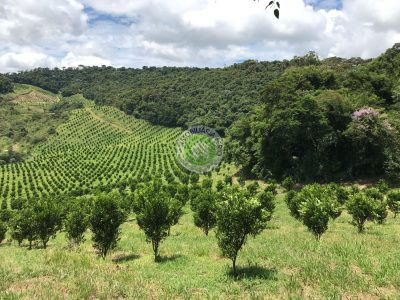 Fazenda, 4 quartos - Foto 2
