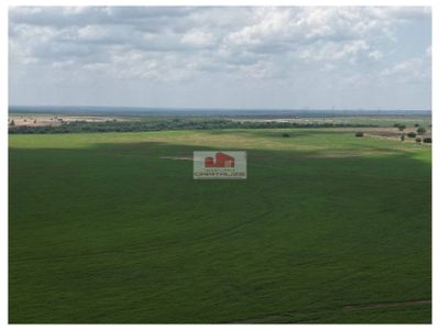 Fazenda, 8230 m² - Foto 3