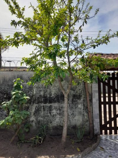 Casa, 2 quartos, 163 m² - Foto 4