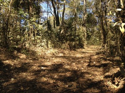 Fazenda, 1 quarto - Foto 1