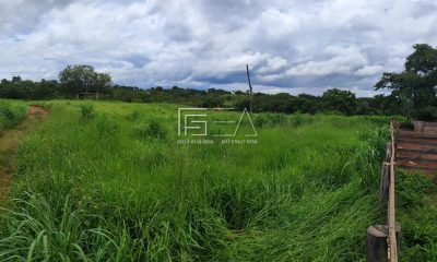 Fazenda, 184 hectares - Foto 4