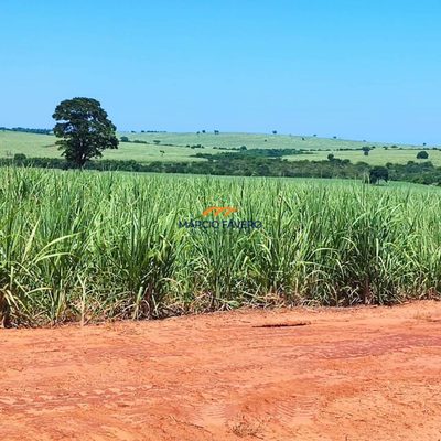 Fazenda, 237 hectares - Foto 1