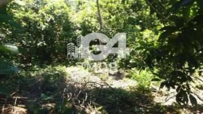 Terreno, 2900 m² - Foto 5