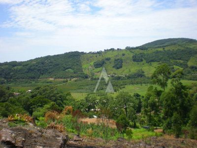Terreno, 1503 m² - Foto 3