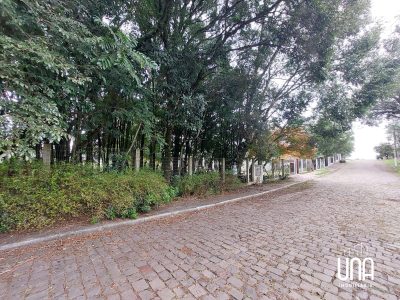 Terreno, 496 m² - Foto 3