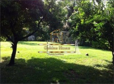 Casa, 5 quartos, 850 m² - Foto 5