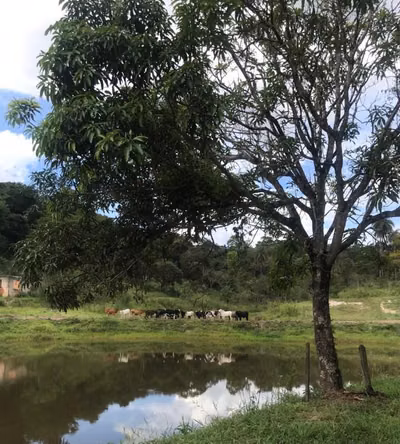 Loteamento e Condomínio, 25 hectares - Foto 1
