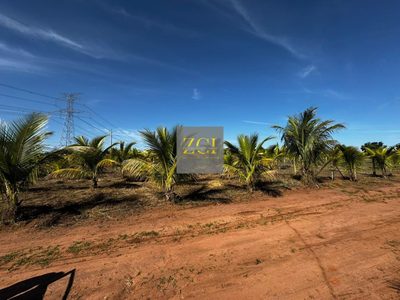 Terreno, 1000 m² - Foto 1