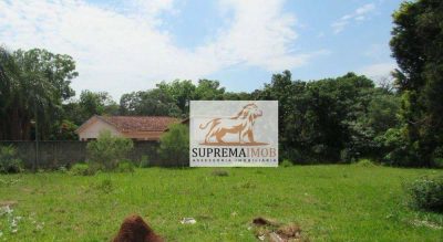 Terreno, 5000 m² - Foto 3