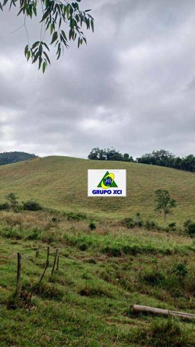 Sítio, 39 hectares - Foto 4