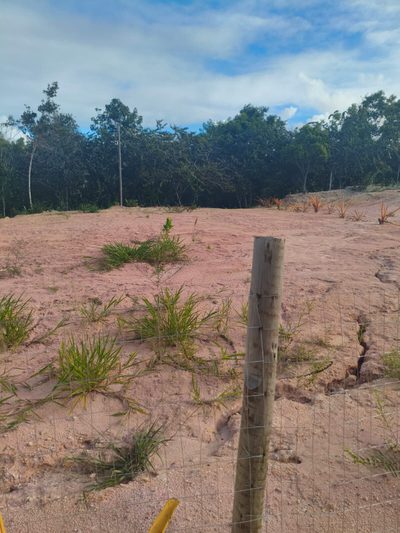 Terreno - Foto 2