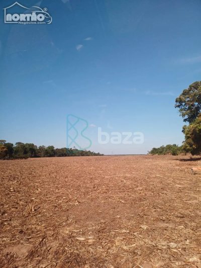 Casa, 242000 m² - Foto 4