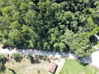 Terreno, 2 hectares - Foto 4