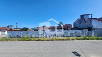 Casa, 5 quartos, 500 m² - Foto 3