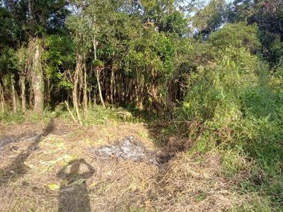 Terreno, 1250 m² - Foto 5