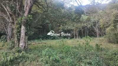 Terreno, 6 hectares - Foto 3