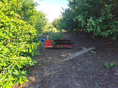Terreno, 1 m² - Foto 5
