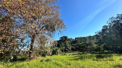 Sítio, 27999 m² - Foto 4