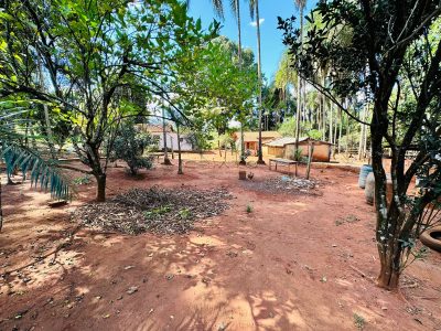 Fazenda, 4 hectares - Foto 3