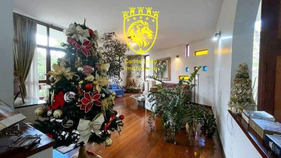 Casa, 4 quartos, 384 m² - Foto 3