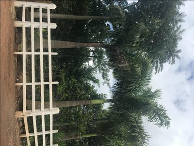 Fazenda, 106 hectares - Foto 3