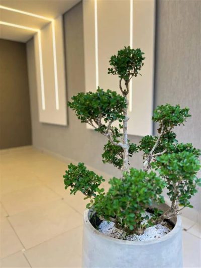 Casa, 2 quartos, 54 m² - Foto 1