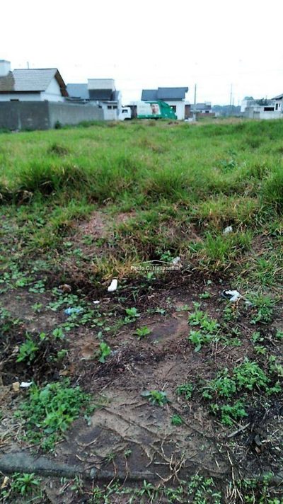 Terreno, 300 m² - Foto 4