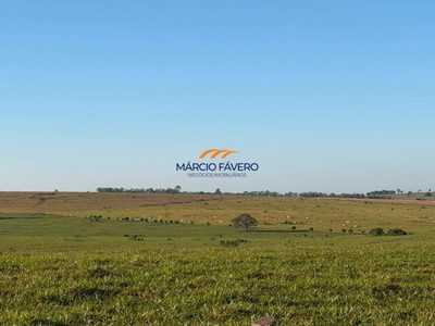 Fazenda, 1355 hectares - Foto 2