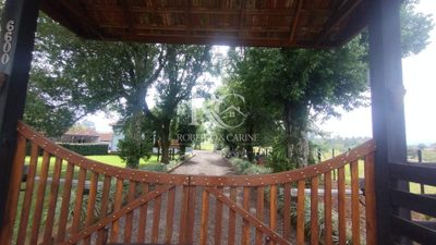 Chácara, 3 quartos, 2 hectares - Foto 4