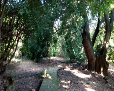 Terreno, 5250 m² - Foto 5
