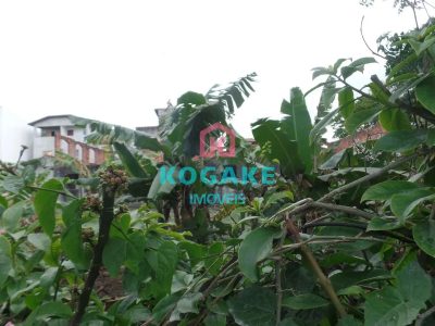 Terreno, 1336 m² - Foto 4