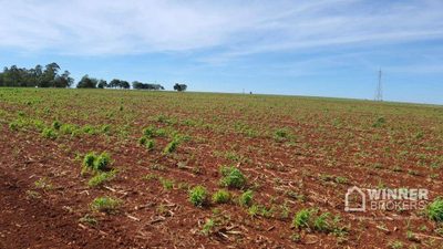 Chácara, 1 quarto, 5000 m² - Foto 3