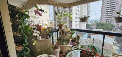 Apartamento, 4 quartos, 116 m² - Foto 5