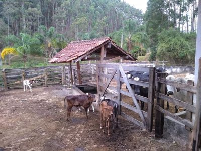 Fazenda, 600 m² - Foto 2