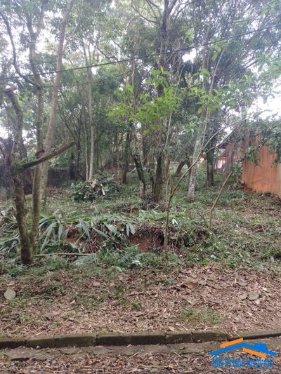 Terreno, 506 m² - Foto 5
