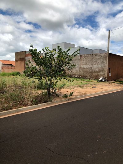 Terreno, 250 m² - Foto 2