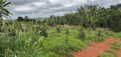 Chácara, 1 quarto, 12 hectares - Foto 1