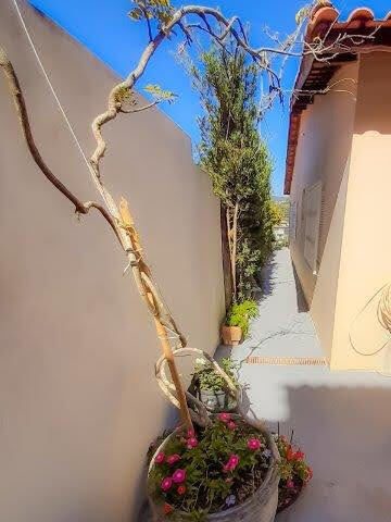 Casa, 3 quartos, 156 m² - Foto 3