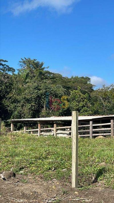 Fazenda - Foto 4