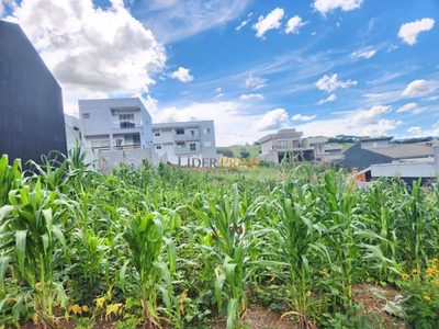 Terreno, 250 m² - Foto 2