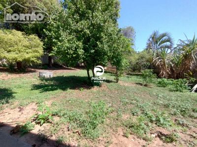 Casa, 2 quartos, 1000 m² - Foto 3