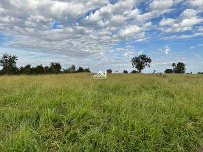 Terreno, 100 hectares - Foto 2