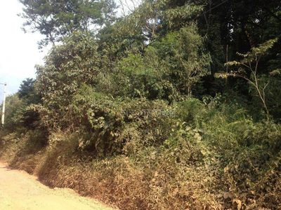Terreno, 3700 m² - Foto 1