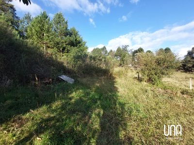 Terreno, 3 hectares - Foto 3